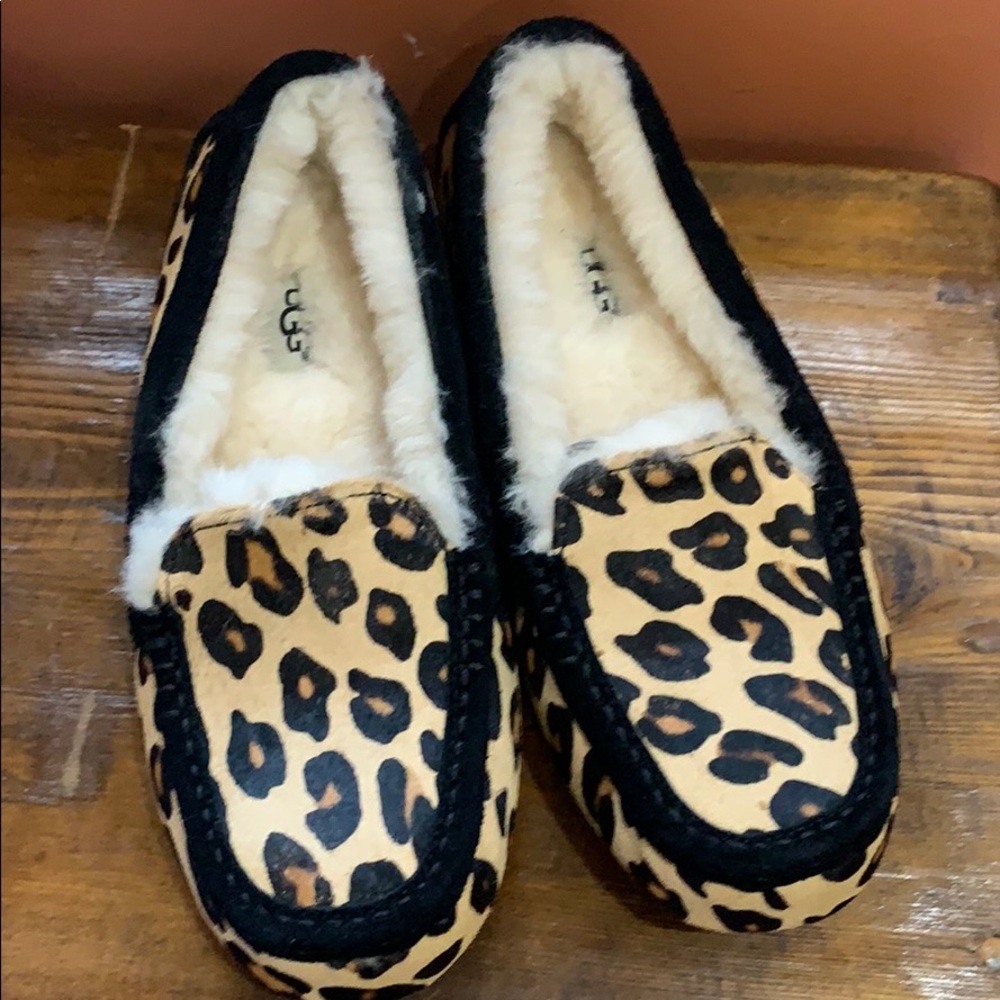 Ugg moccasin